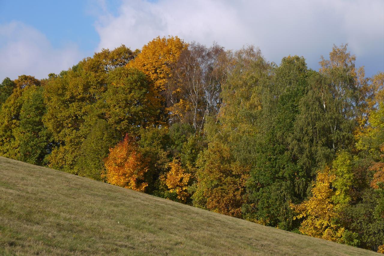 Villa Maushaus Rudník Esterno foto