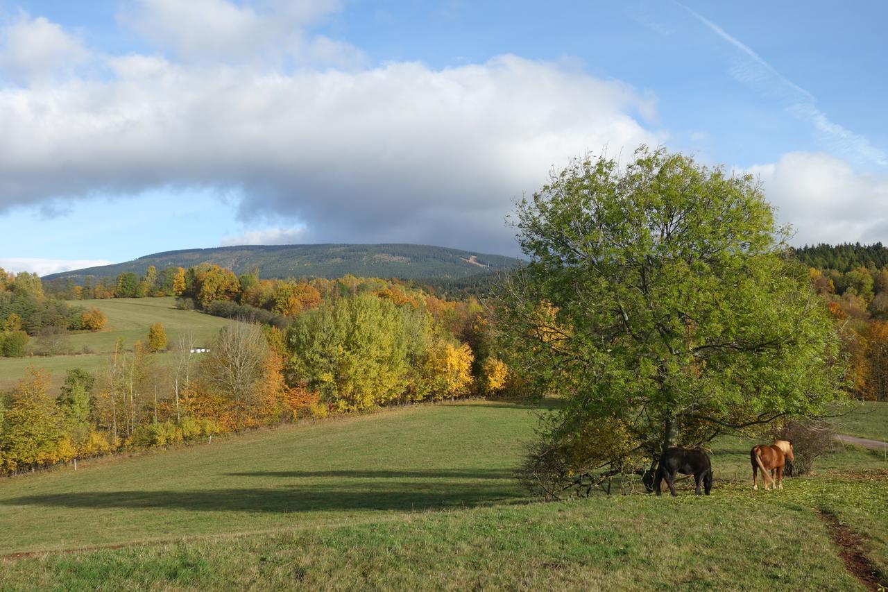 Villa Maushaus Rudník Esterno foto