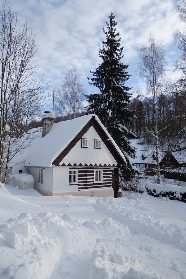 Villa Maushaus Rudník Esterno foto